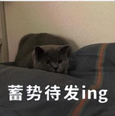 小米杀入新战场！新机又来给同行上强度了j9九游会俱乐部登录入口9700mAh
