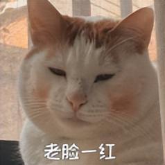 小米杀入新战场！新机又来给同行上强度了j9九游会俱乐部登录入口9700mAh(图4)