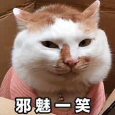 小米杀入新战场！新机又来给同行上强度了j9九游会俱乐部登录入口9700mAh(图12)